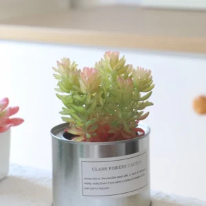 Nordic Faux Succulent Plant Set – Home & Garden Decor