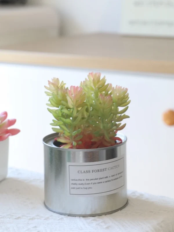 Nordic Faux Succulent Plant Set – Home & Garden Decor
