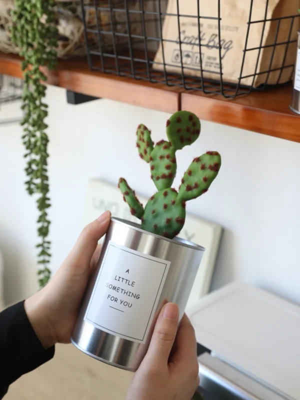 Nordic Faux Succulent Plant Set – Home & Garden Decor - Image 3
