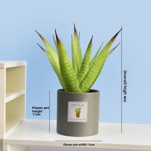 Artificial Succulent Plant Pot – Home & Office Decoration - Image 8