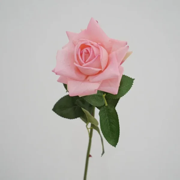 Artificial Roses Bouquet – 5Pcs Real Touch Flowers - Image 6