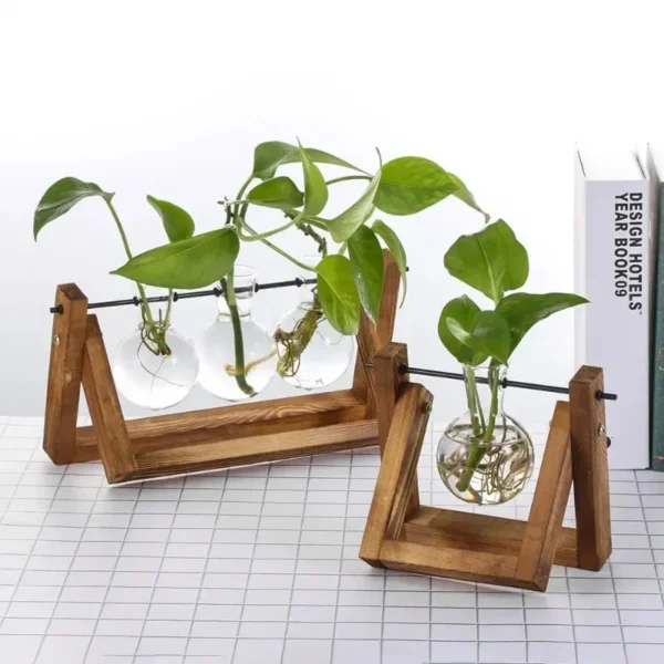 Vintage Glass Hydroponic Vase with Wooden Frame - Image 2