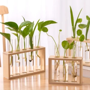 Modern Hydroponic Glass Vase with Wooden Frame
