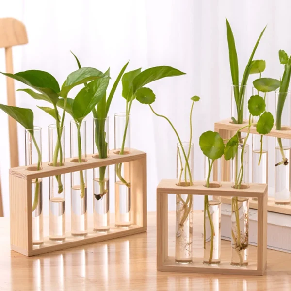 Modern Hydroponic Glass Vase with Wooden Frame