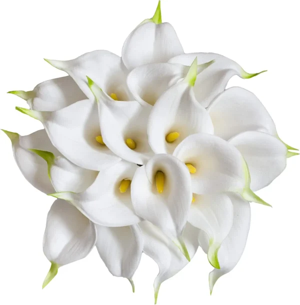 Artificial Calla Lily Bouquet – 20Pcs Pure White - Image 10