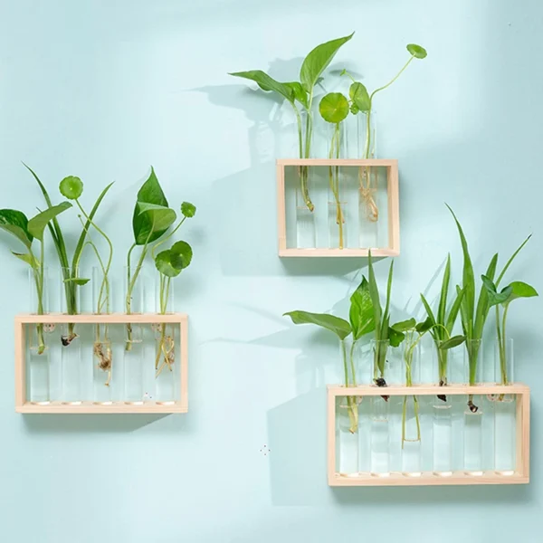 Modern Hydroponic Glass Vase with Wooden Frame - Image 2