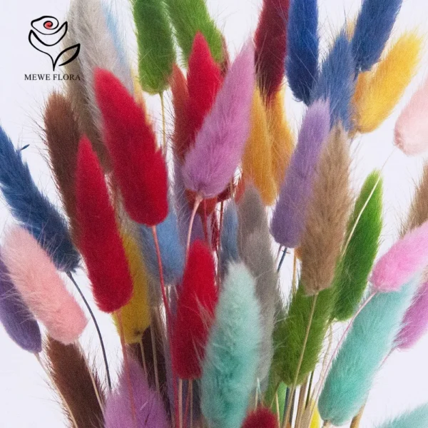 Real Bunny Tails Dried Flowers 60 Stems Pampas Bouquet - Image 5