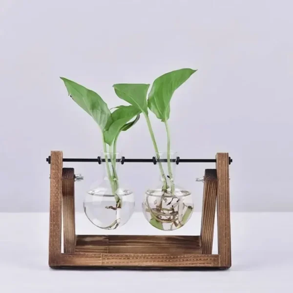 Vintage Glass Hydroponic Vase with Wooden Frame - Image 5