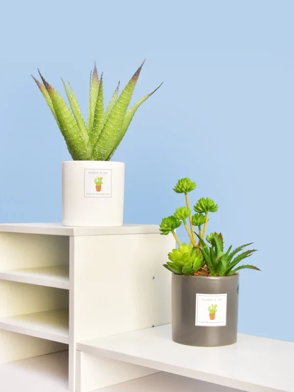 Artificial Succulent Plant Pot – Home & Office Decoration