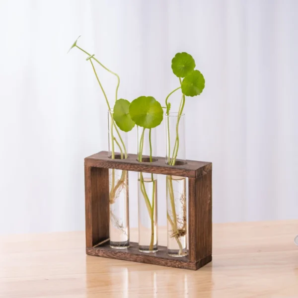 Modern Hydroponic Glass Vase with Wooden Frame - Image 8
