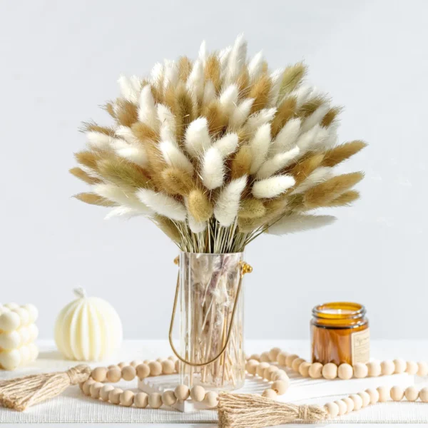 Real Bunny Tails Dried Flowers 60 Stems Pampas Bouquet - Image 15