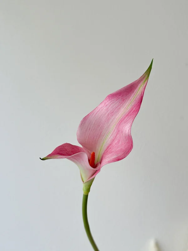 Artificial Lotus Bouquet – Summer Floral Collection - Image 8