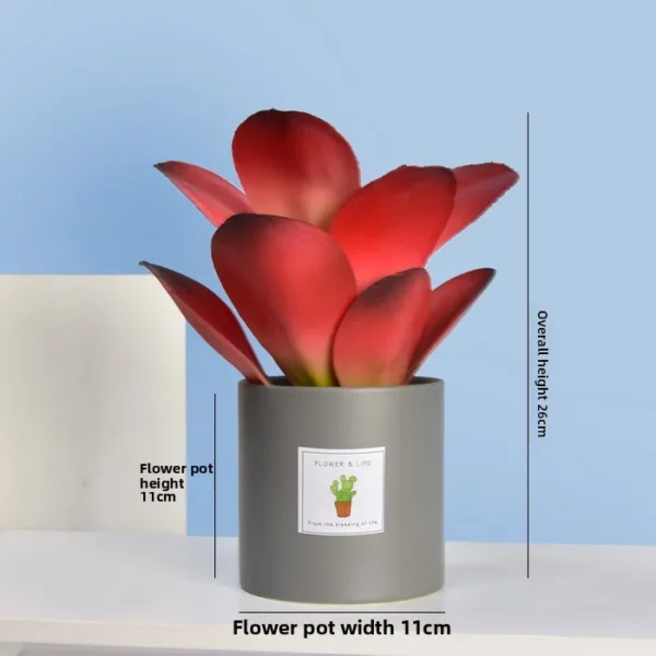 Artificial Succulent Plant Pot – Home & Office Decoration - Image 6