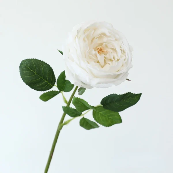 Congratulations Tea Rose Branches – 5pcs Artificial Flowers - Image 13