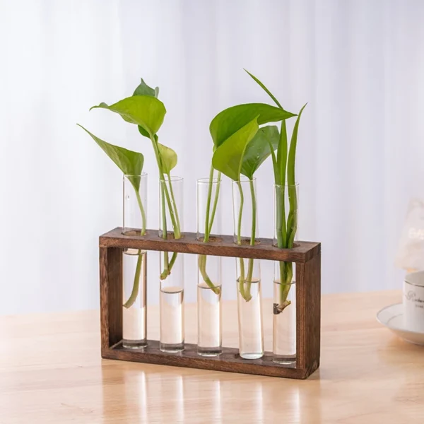 Modern Hydroponic Glass Vase with Wooden Frame - Image 4