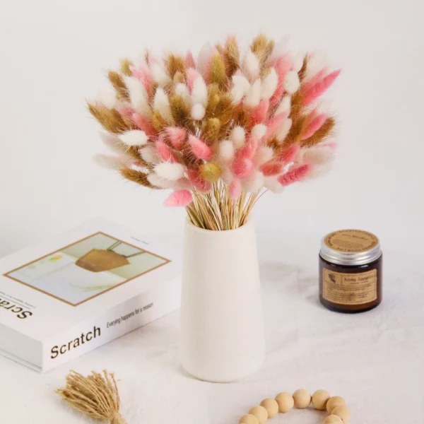 Real Bunny Tails Dried Flowers 60 Stems Pampas Bouquet - Image 9