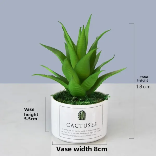Artificial Succulent Plant Pot – Home & Office Decoration - Image 15