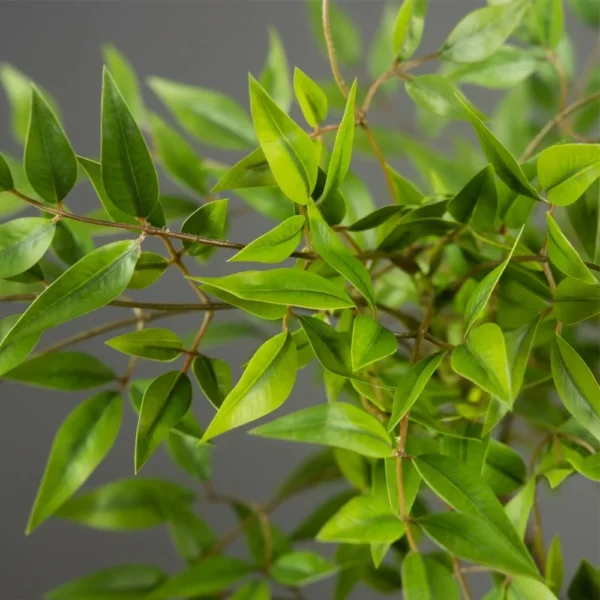 75-140cm Artificial Nandina Tree for Home & Garden Decor - Image 6