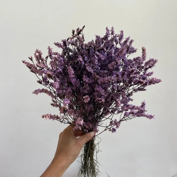 Crystal Dried Flower Bouquet – Eternal Plum Branch Decor - Image 7