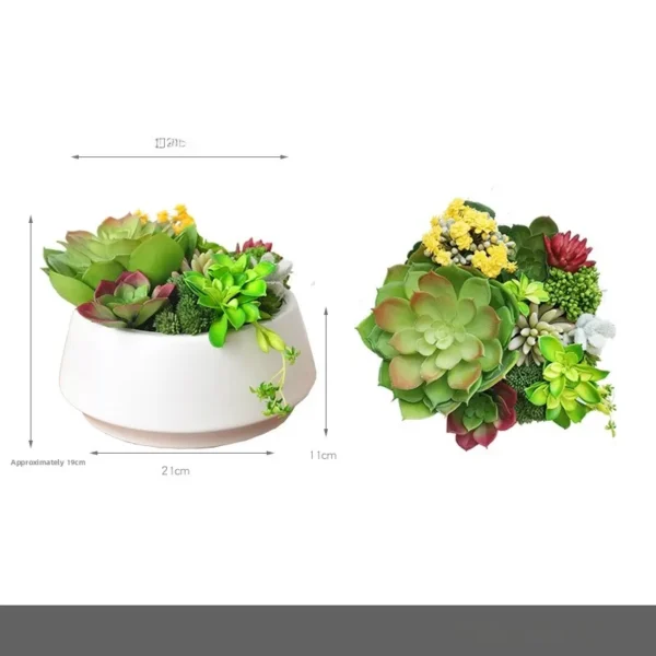 Morning Glow & Terglow Succulent Plant Pot Decor - Image 9