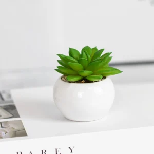 Nordic Artificial Succulent Plant – Cute Small Potted