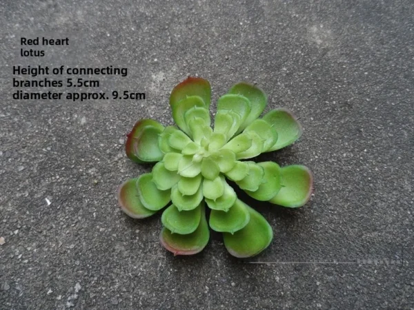 Artificial Succulent Plant in Pot – Desk & Home Decor - Image 18