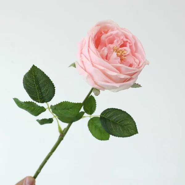 Congratulations Tea Rose Branches – 5pcs Artificial Flowers - Image 12