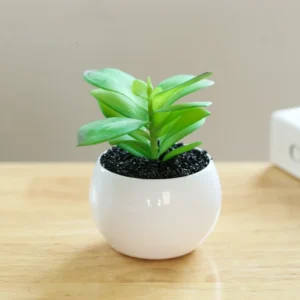 Artificial Bonsai Succulent Plant with Pot – Home & Office