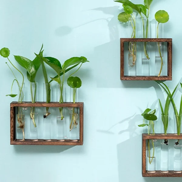 Modern Hydroponic Glass Vase with Wooden Frame - Image 11