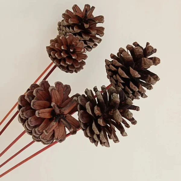 Colorful Dried Daisy & Chrysanthemum Bouquet – Home Décor - Image 7