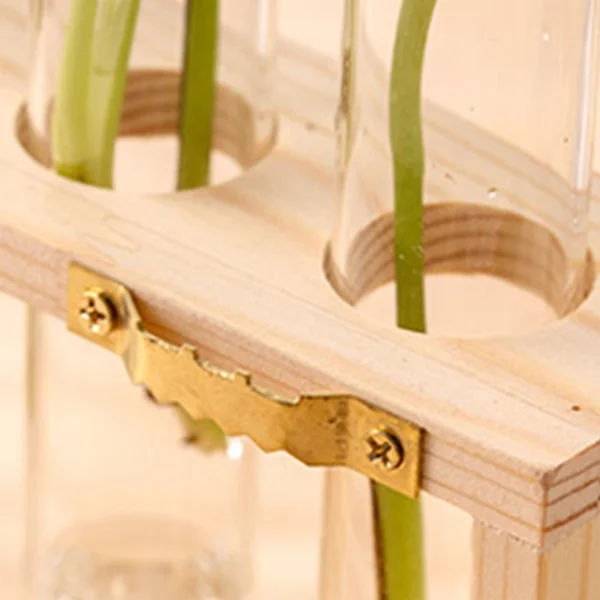 Modern Hydroponic Glass Vase with Wooden Frame - Image 13