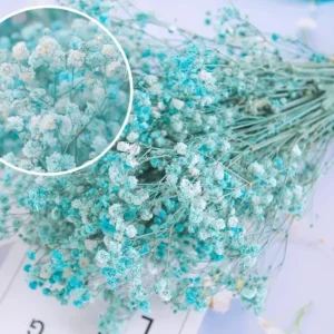Natural Dried Flowers Mix – Eternal Baby Breath Bouquet