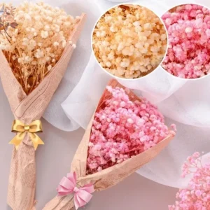 Pink Beige Dried Baby’s Breath Bouquet – Home & Wedding
