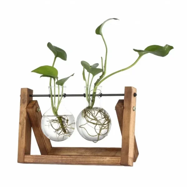 Vintage Glass Hydroponic Vase with Wooden Frame - Image 19