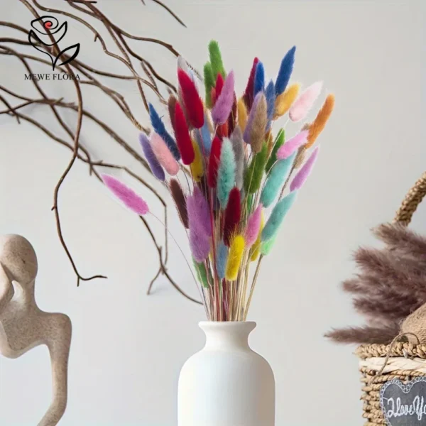 Real Bunny Tails Dried Flowers 60 Stems Pampas Bouquet - Image 3