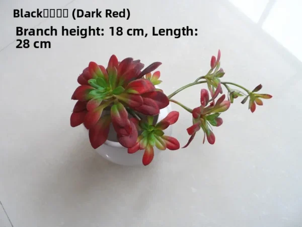 Artificial Succulent Plant in Pot – Desk & Home Decor - Image 21
