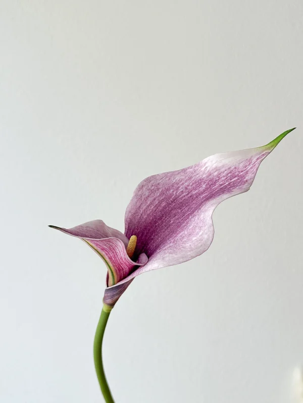 Artificial Lotus Bouquet – Summer Floral Collection - Image 9