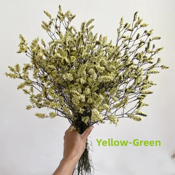 Crystal Dried Flower Bouquet – Eternal Plum Branch Decor - Image 10