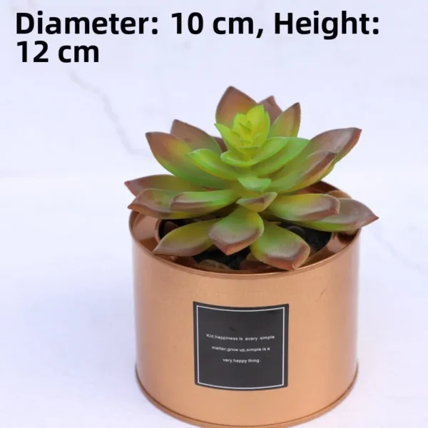 Nordic Faux Succulent Plant Set – Home & Garden Decor - Image 22