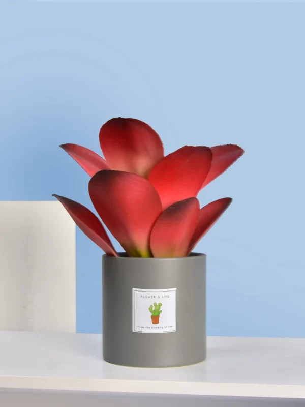 Artificial Succulent Plant Pot – Home & Office Decoration - Image 5