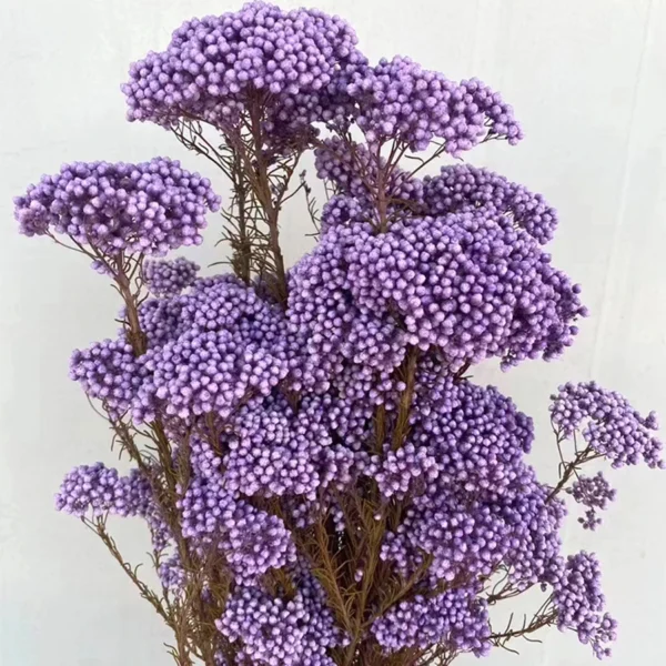 Winter Rice Flower Bouquet – Natural Dried Floral Decor - Image 3