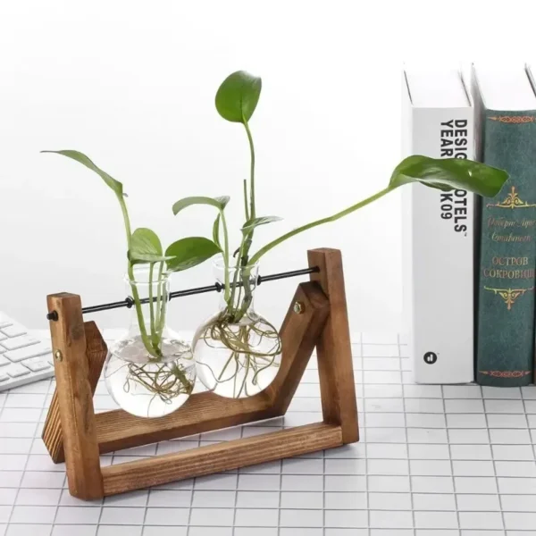 Vintage Glass Hydroponic Vase with Wooden Frame - Image 4