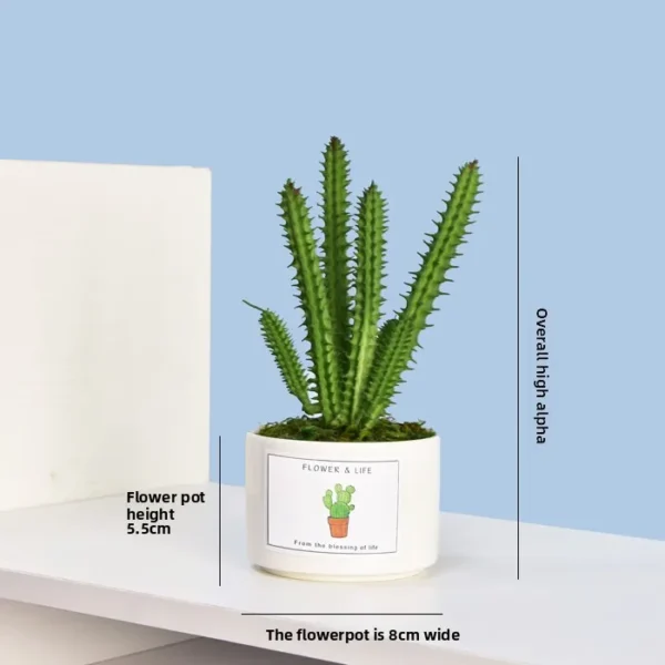 Artificial Succulent Plant Pot – Home & Office Decoration - Image 16