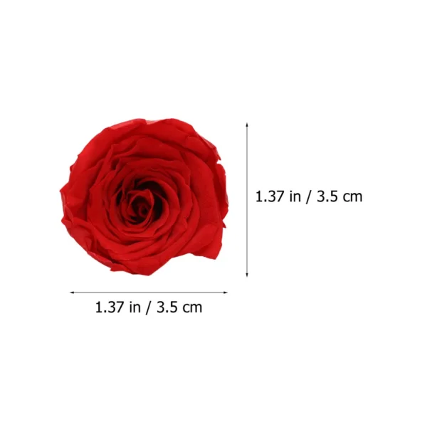 12pcs Preserved Rose Heads – Anniversary & Wedding Decor - Image 7