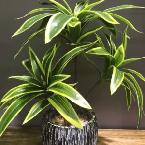 Simple Yellow Faux Plant – Baby Shower Decoration