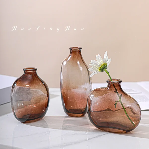 Retro Nordic Transparent Glass Vase for Flowers - Image 21