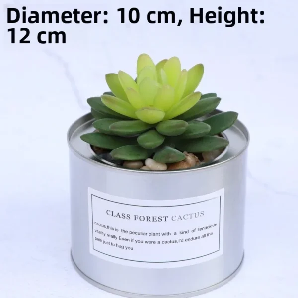Nordic Faux Succulent Plant Set – Home & Garden Decor - Image 10
