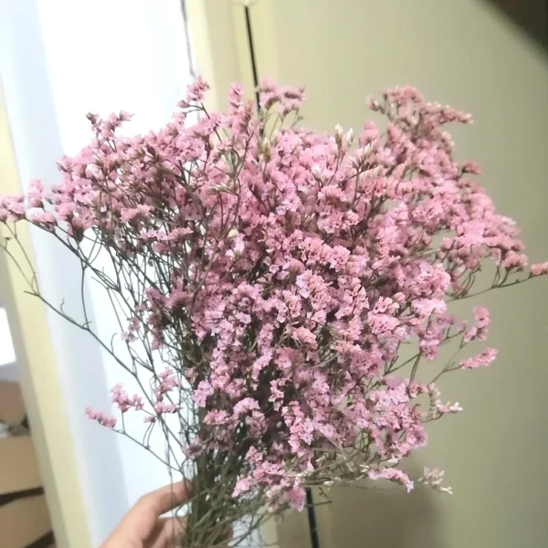 Crystal Dried Flower Bouquet – Eternal Plum Branch Decor - Image 9