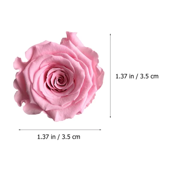 12pcs Preserved Rose Heads – Anniversary & Wedding Decor - Image 6