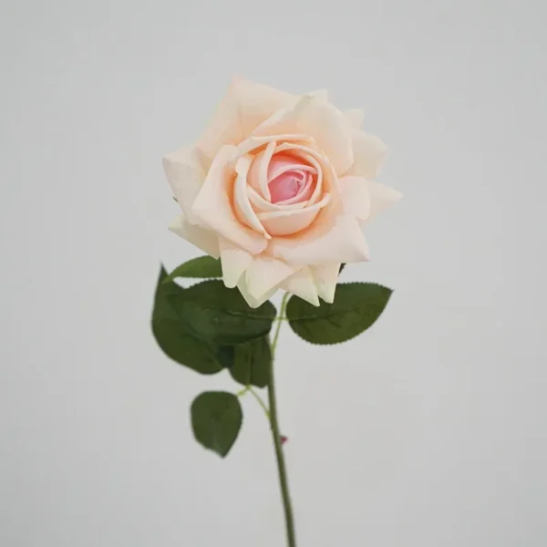 Artificial Roses Bouquet – 5Pcs Real Touch Flowers - Image 7